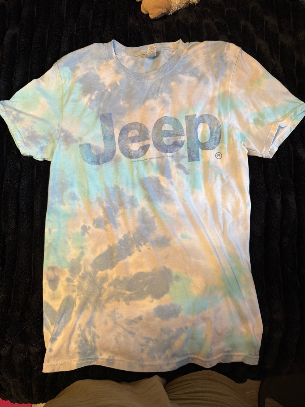 Oversized Jeep Tie-Dye Logo T-Shirt - Pastel Blue/Green